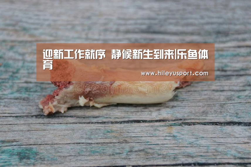 乐鱼体育官网入口