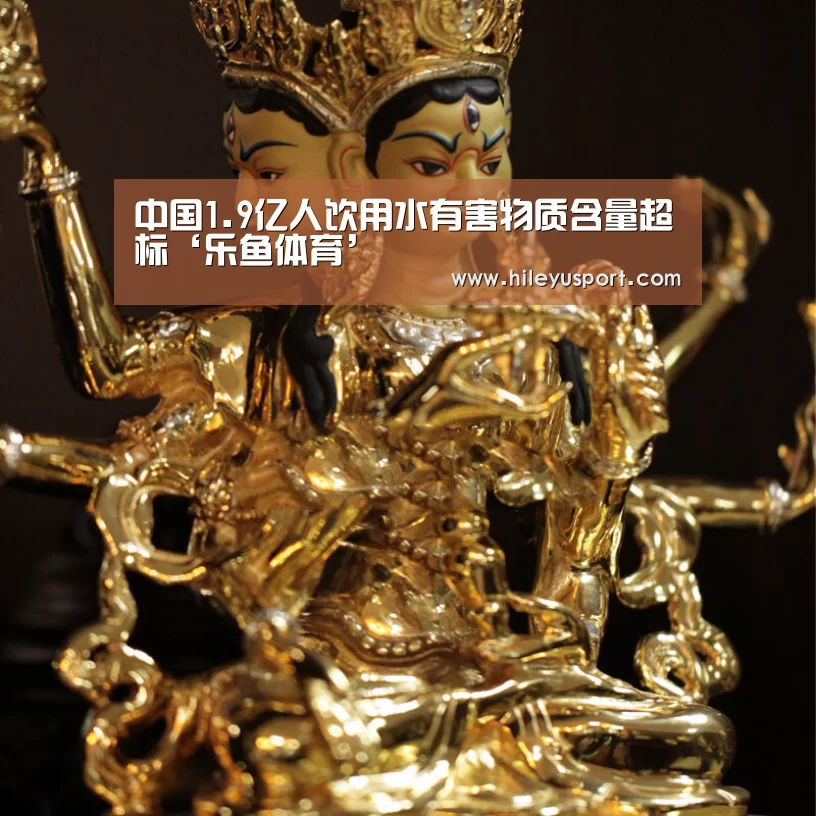 中国1.9亿人饮用水有害物质含量超标‘乐鱼体育’(图3) 乐鱼体育官网入口