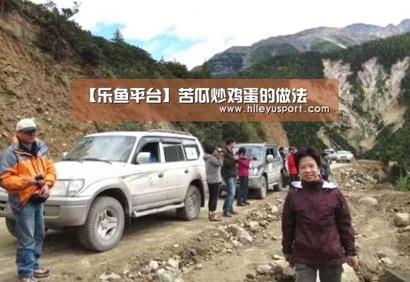 乐鱼平台