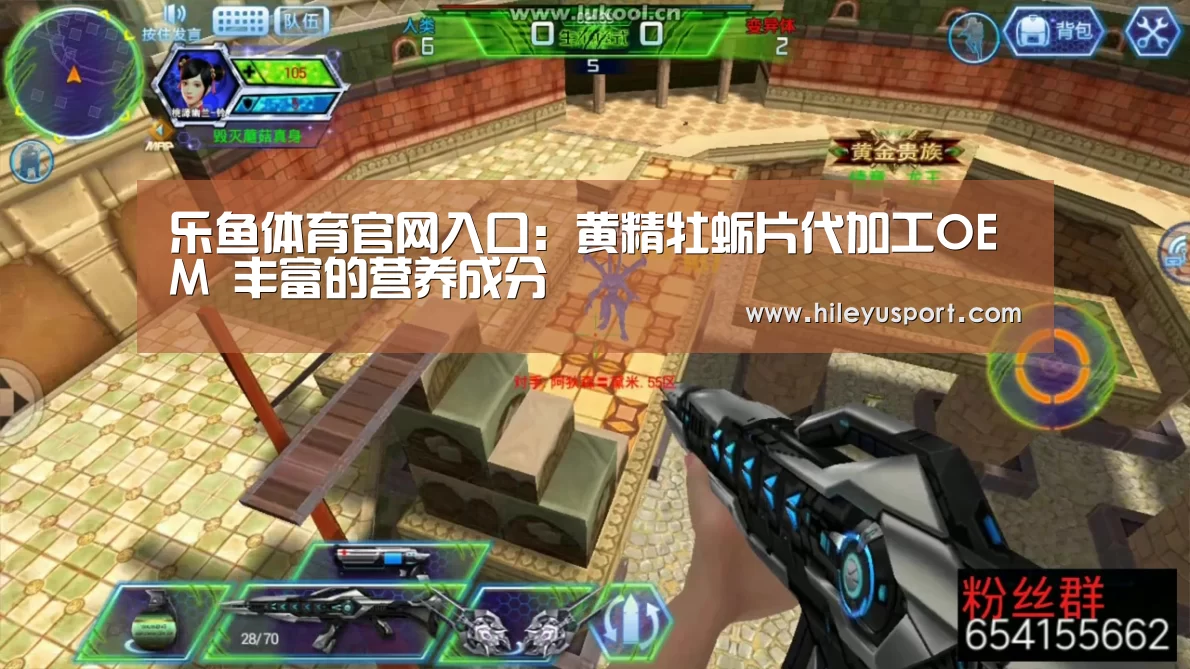 乐鱼体育官网入口
