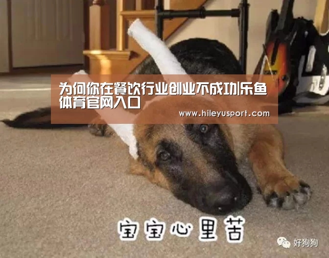 为何你在餐饮行业创业不成功|乐鱼体育官网入口(图1) 乐鱼体育