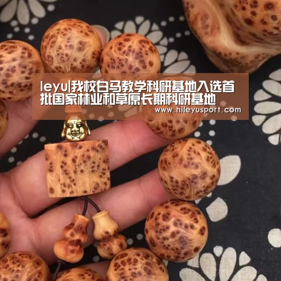 leyu|我校白马教学科研基地入选首批国家林业和草原长期科研基地(图4) leyu|我校白马教学科研基地入选首批国家林业和草原长期科研基地(图4)