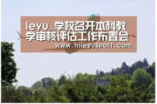 乐鱼平台