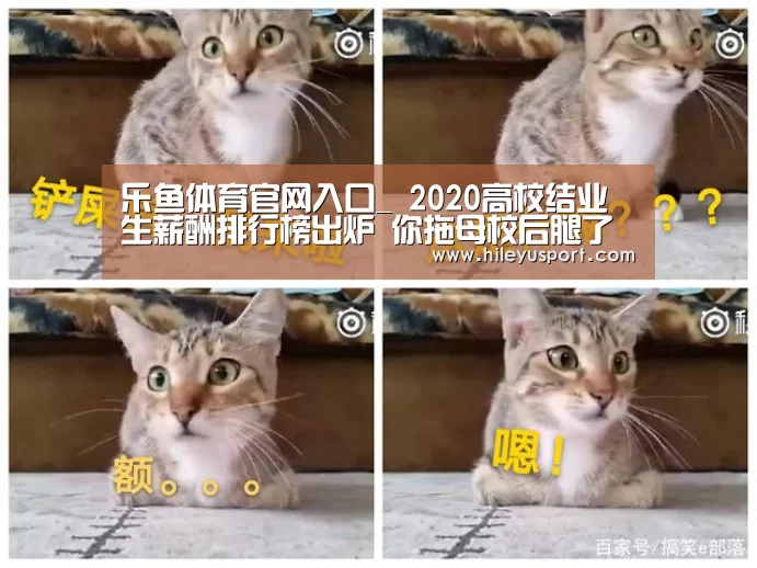 乐鱼体育官网入口_
2020高校结业生薪酬排行榜出炉 你拖母校后腿了吗?(图3) 乐鱼体育官网入口