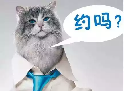 乐鱼体育_桃花茶的功效(图1) 乐鱼体育官网入口