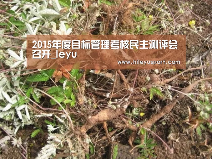 2015年度目标管理考核民主测评会召开_leyu(图2) 乐鱼体育官网入口