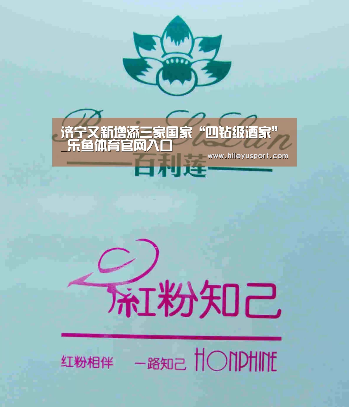 济宁又新增添三家国家“四钻级酒家”_乐鱼体育官网入口(图1)