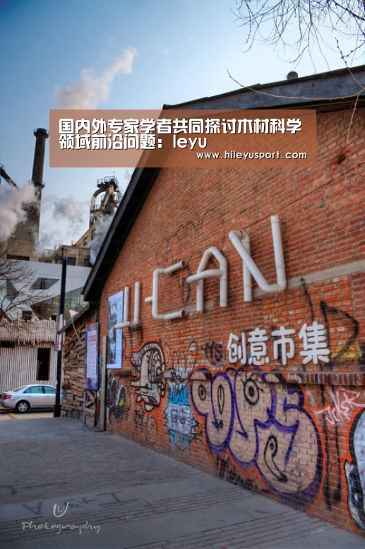 国内外专家学者共同探讨木材科学领域前沿问题：leyu(图2)