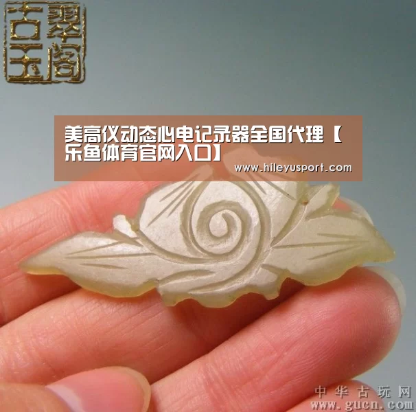 美高仪动态心电记录器全国代理【乐鱼体育官网入口】(图4)